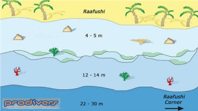 Rasfushi Out